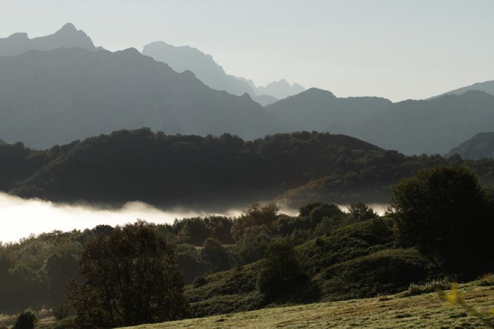 La niebla